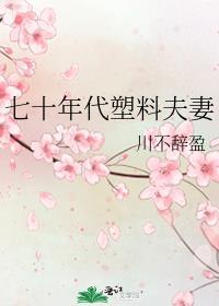 七十年代塑料夫妻讲的什么