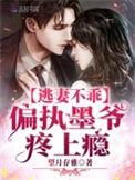 逃妻不乖偏执墨爷疼上瘾全文阅读