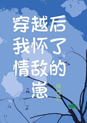 穿越后我怀了情敌的崽免费阅读全文