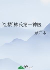 红楼之林氏免费伯九安