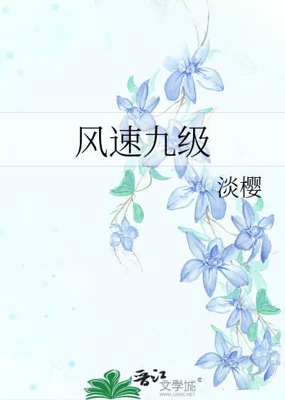 风速9节