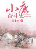 小康社会奋斗