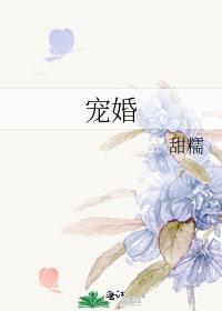 宠婚蜜爱宁先生