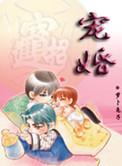 宠婚全文