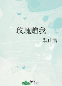 玫瑰赠我陈时全文免费阅读