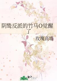 林想起陆琮玫瑰高墙