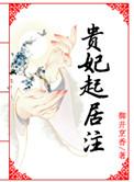 贵妃起居注结局