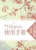 竹马使用手册讲的什么