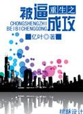 70. 重生之被逼成攻 作者亿叶 重生前……
