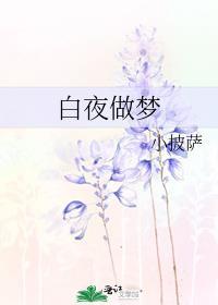 白日做梦和夜晚做梦一样吗?
