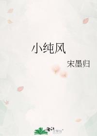 小纯风内容为什么连不起来