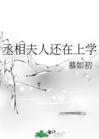 丞相夫人还在上学晋江