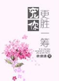 宠你更胜一筹作者林绵绵