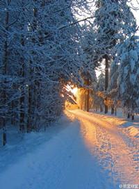 归路电视剧全集免费版