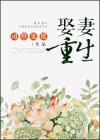 娶妻之后我重生了(女穿男)