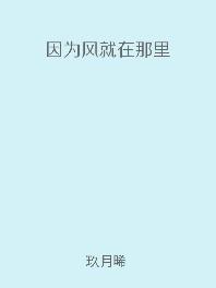 因为风就在那里晋江