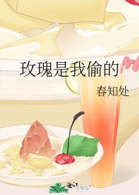 团宠学霸小姑姑躺赢日常作者宋家小四