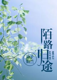 陌路归途全集完整版