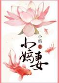 小嫡妻txt