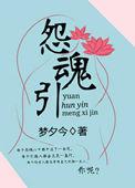 怨魂引 梦夕今