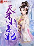 天才小毒妃第三部