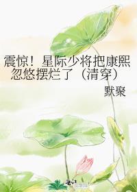 星际少将的全能媳妇