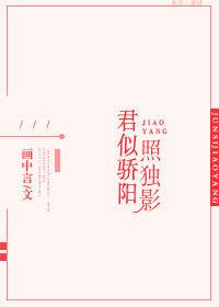 君似骄阳照独影番外