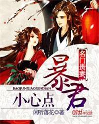 名门贵妻暴君小心点全文阅读