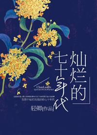 灿烂的七十年代代