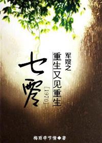 七零军嫂重生又见重生免费