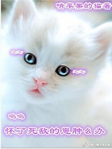 怀了死敌的崽肿么办作者啃苹果的猫
