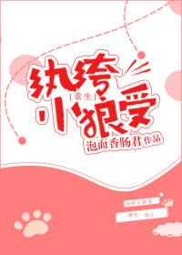 重生之纨绔小狼受 书包