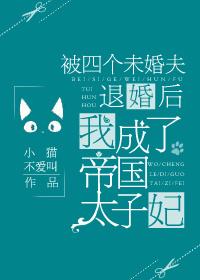 被三个未婚夫退婚后我成了帝国太子妃