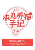 本丸养猫日记