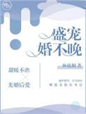盛宠婚不晚小免费阅读