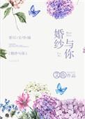婚纱与你全文阅读