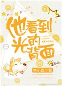 他看到光的背面林小珑