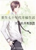 重生之七零年代的幸福生活火辣辣