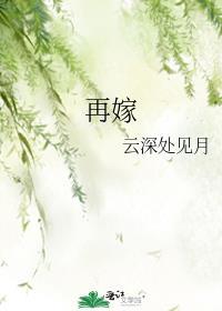 再嫁云深处见月免费阅读