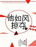 他如风掠夺免费阅读全文晋江