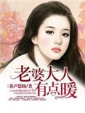 老婆大人有点暖全文阅读