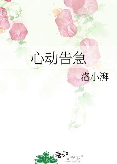 心动告急免费阅读洛小湃