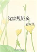 沈家规矩多txt百度
