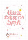 我就是大佬死了的白月光25