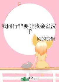 我同行非要让我金盆洗手封面
