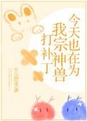 今天也在为我宗神兽打补丁txt