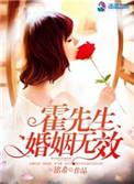 h霍先生婚姻无效简介