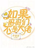如果哥哥们不是大佬笔趣阁