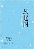 风起时想你原唱