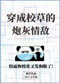 穿成校草的炮灰情敌by